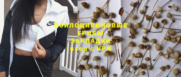 индика Армянск