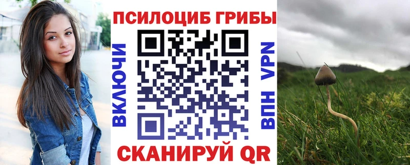 Галлюциногенные грибы мицелий  Судак 